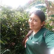 Clases y refuerzo escolar, particular para niños